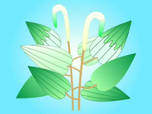 十三夜の月のイラスト