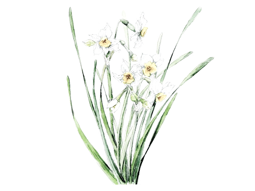 十三夜の月のイラスト
