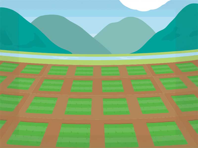 広がる田のイラスト