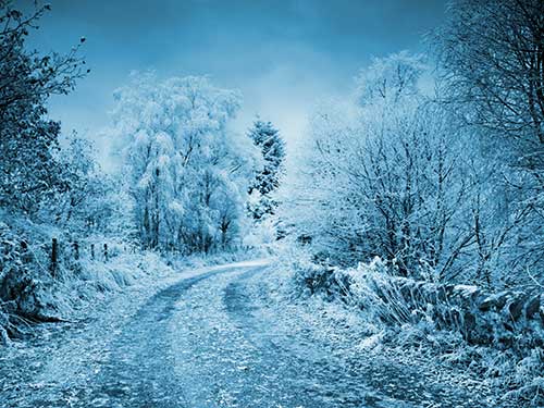 十三夜の月のイラスト