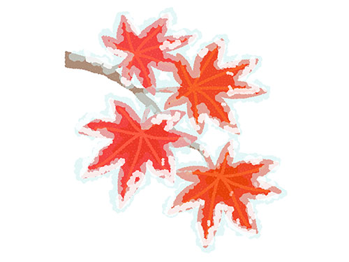 紅葉の葉に霜が降りているイラスト