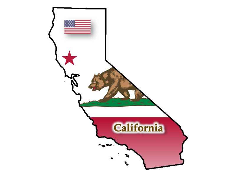 コラム挿絵:カリフォルニア州のイメージ画像